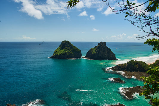 12_Fernando de Noronha 2012_Ecologic Sanctuary_60x40cm