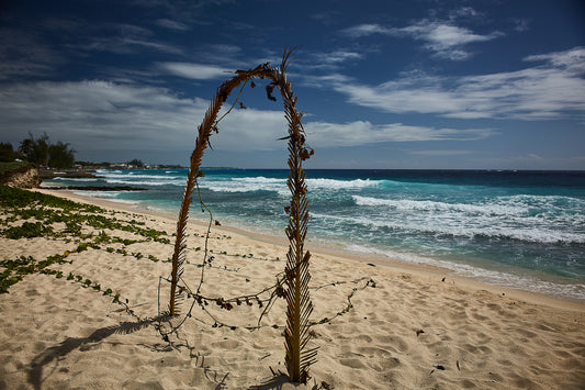 06_Barbados_Caribbean Light