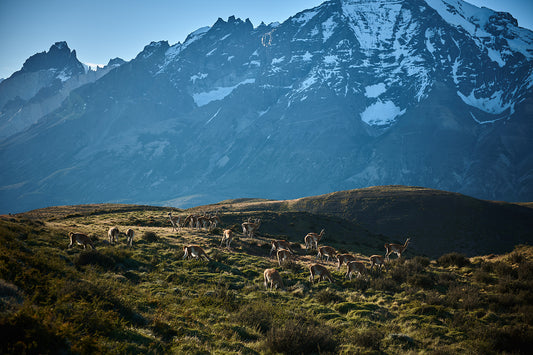 48_Torres Del Paine_Chile_60x40cm