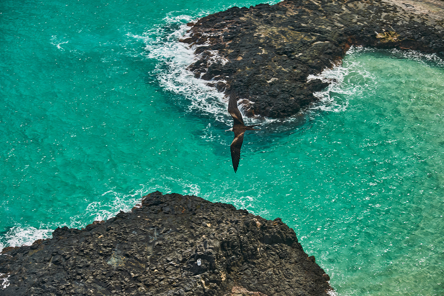 23_Fernando de Noronha 2012_Ecologic Sanctuary_60x40cm