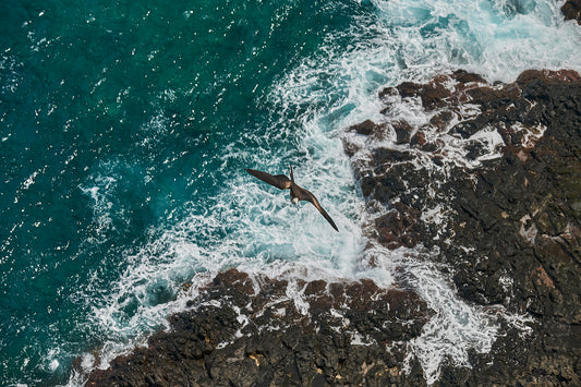 30_Fernando de Noronha 2012_Ecologic Sanctuary_60x40cm