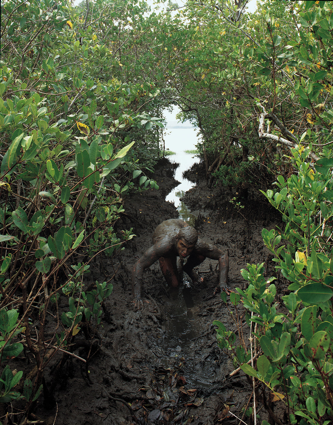 Swamp Man
Photographed in 1988 in a mangrove area on Florianópolis Island, Santa Catarina, Brazil, Swamp Man is part of the Elemental series, exploring the deep integration between the human body and the natural environment.
The model demonstrates an extraordinary control of body and mind, merging with the surrounding ecosystem as if becoming part of its organic structure. Between sea and coast, the mangrove forms a living territory of small rivers, lagoons, roots, mud, and forest — a vital environment fo