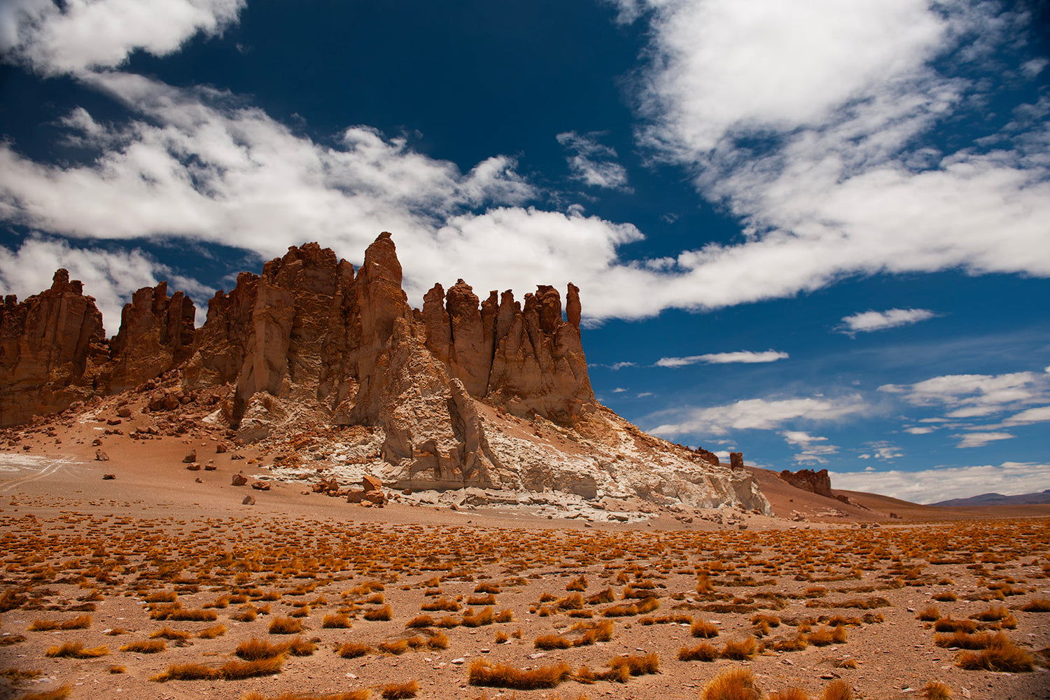 Atacama Desert, Chile