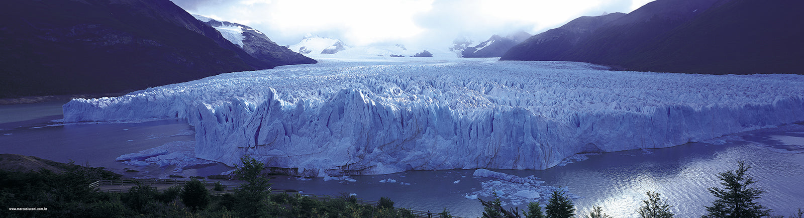 Certificate of Authenticity:
Artwork Title: 01_Glacial Perito Moreno_Argentina_100x27cm
Series: Patagonia
Artist: Marcus Luconi
Year of Capture: 2000
Location: Glacial Perito Moreno
Original Medium: Filme 17x6cm
Camera: Linhof Panoramic
Print: Fine art archival pigment print
Edition: [número da edição]