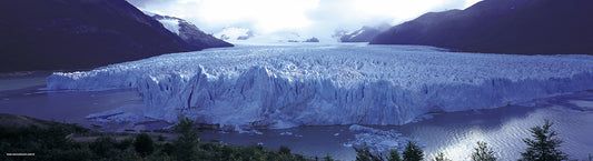 Certificate of Authenticity:
Artwork Title: 01_Glacial Perito Moreno_Argentina_100x27cm
Series: Patagonia
Artist: Marcus Luconi
Year of Capture: 2000
Location: Glacial Perito Moreno
Original Medium: Filme 17x6cm
Camera: Linhof Panoramic
Print: Fine art archival pigment print
Edition: [número da edição]