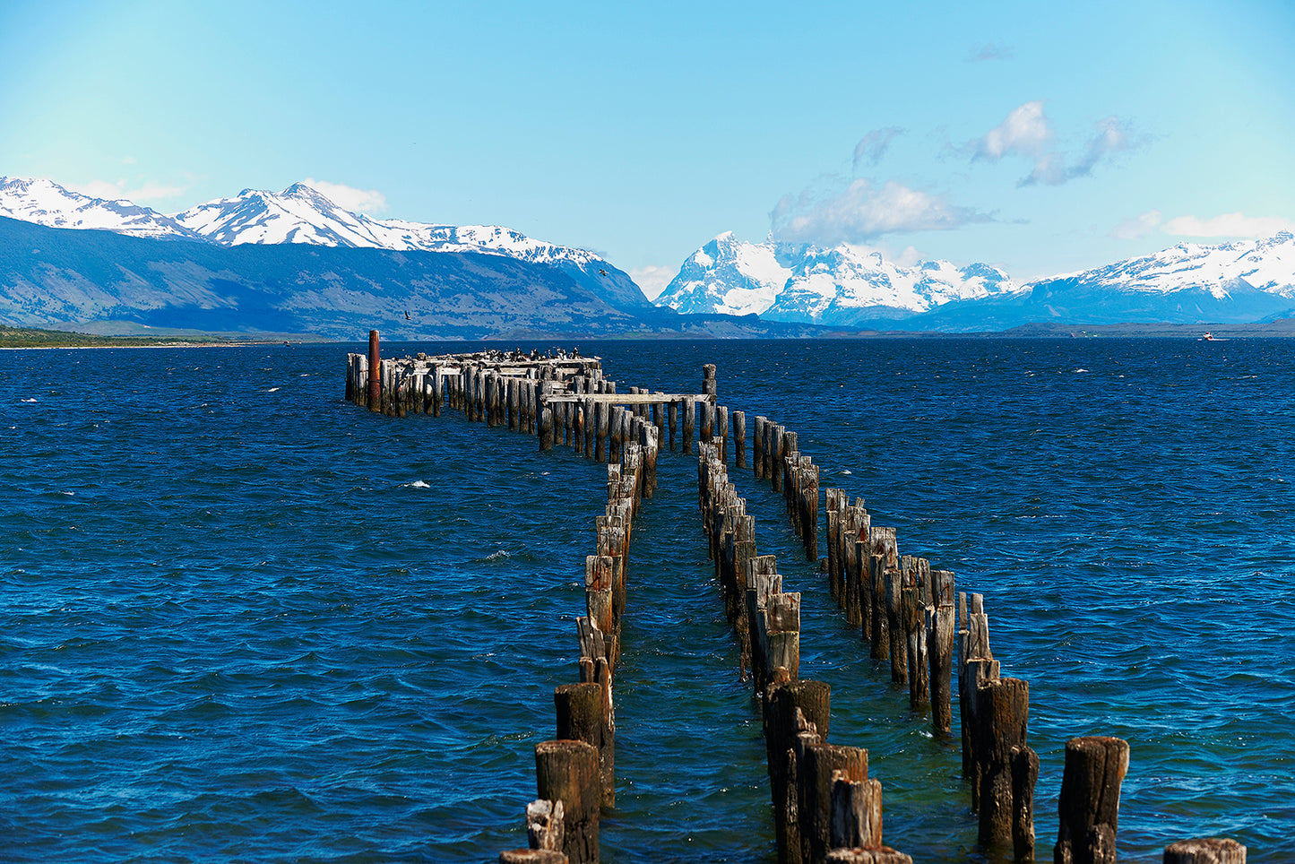Puerto Natales — The Harbor Before the Mountains