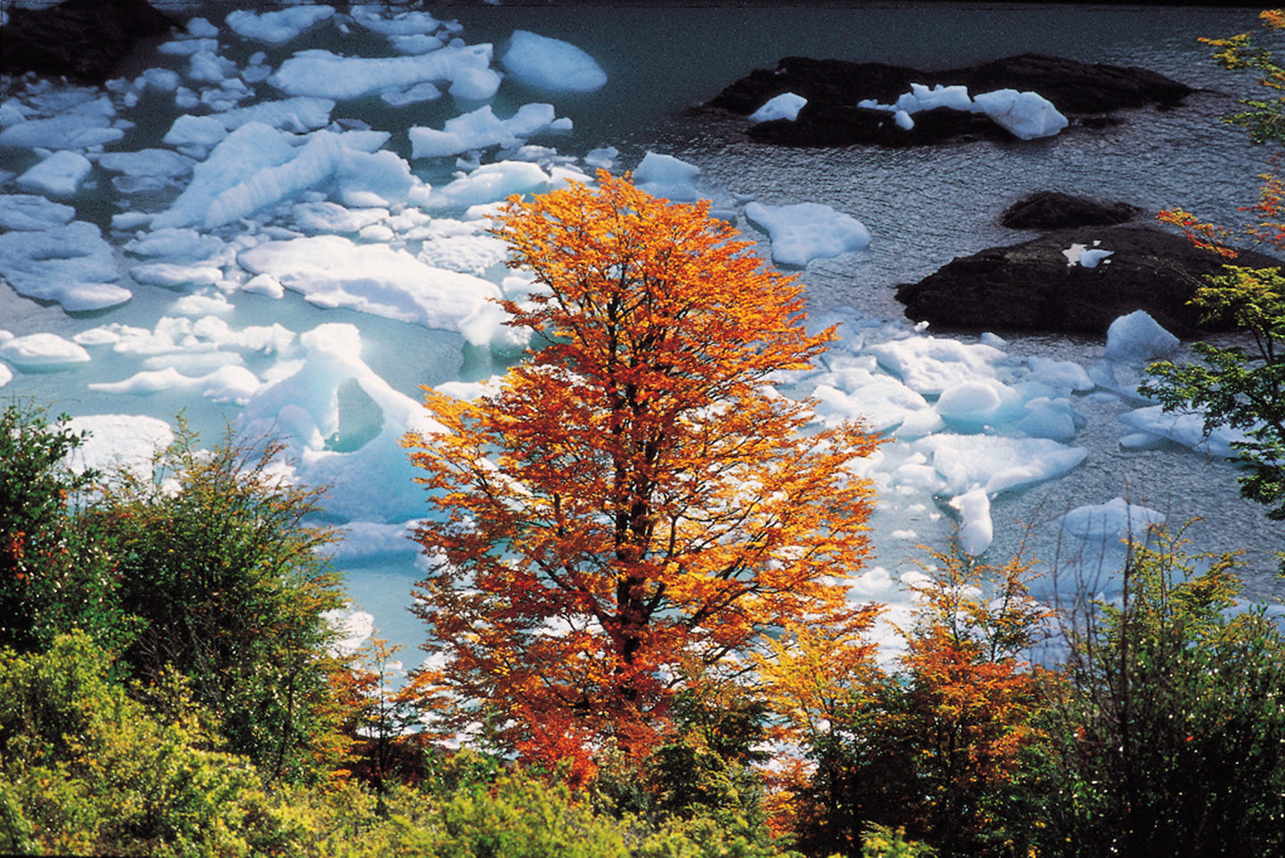 Perito Moreno Glacier — Patagonia Argentina
