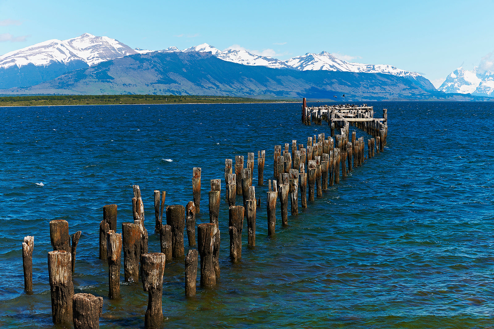 Certificate of Authenticity:
Artwork Title: 02_Puerto_Natales_Patagonia_Chile 60x40cm
Series: Patagonia
Artist: Marcus Luconi
Year of Capture: 2010
Location: Puerto Natales, Chile
Original Medium: Digital 35mm
Camera: Nikon D3X
Print: Fine art archival pigment print
Edition: [número da edição]