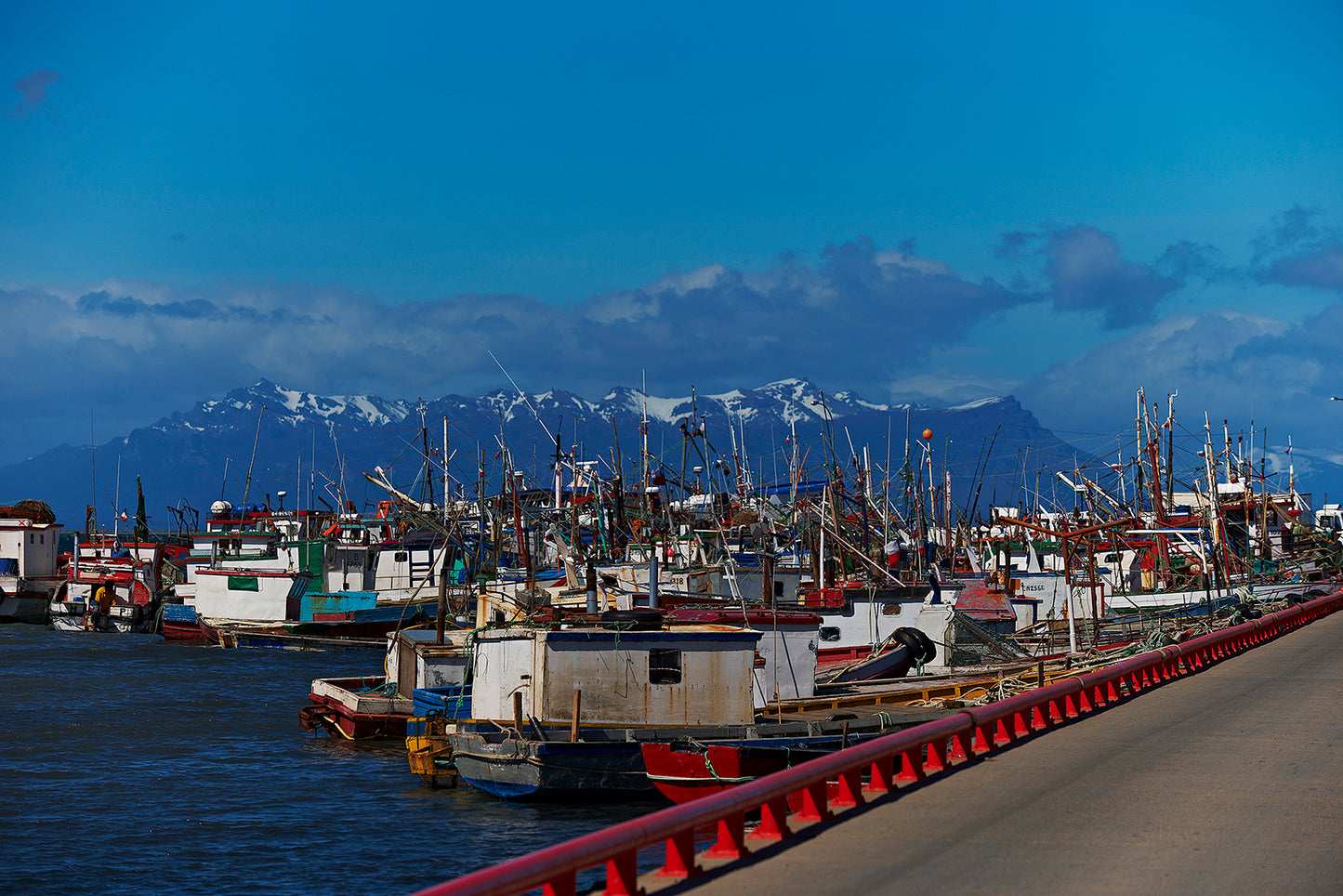 Puerto Natales — The Harbor Before the Mountains