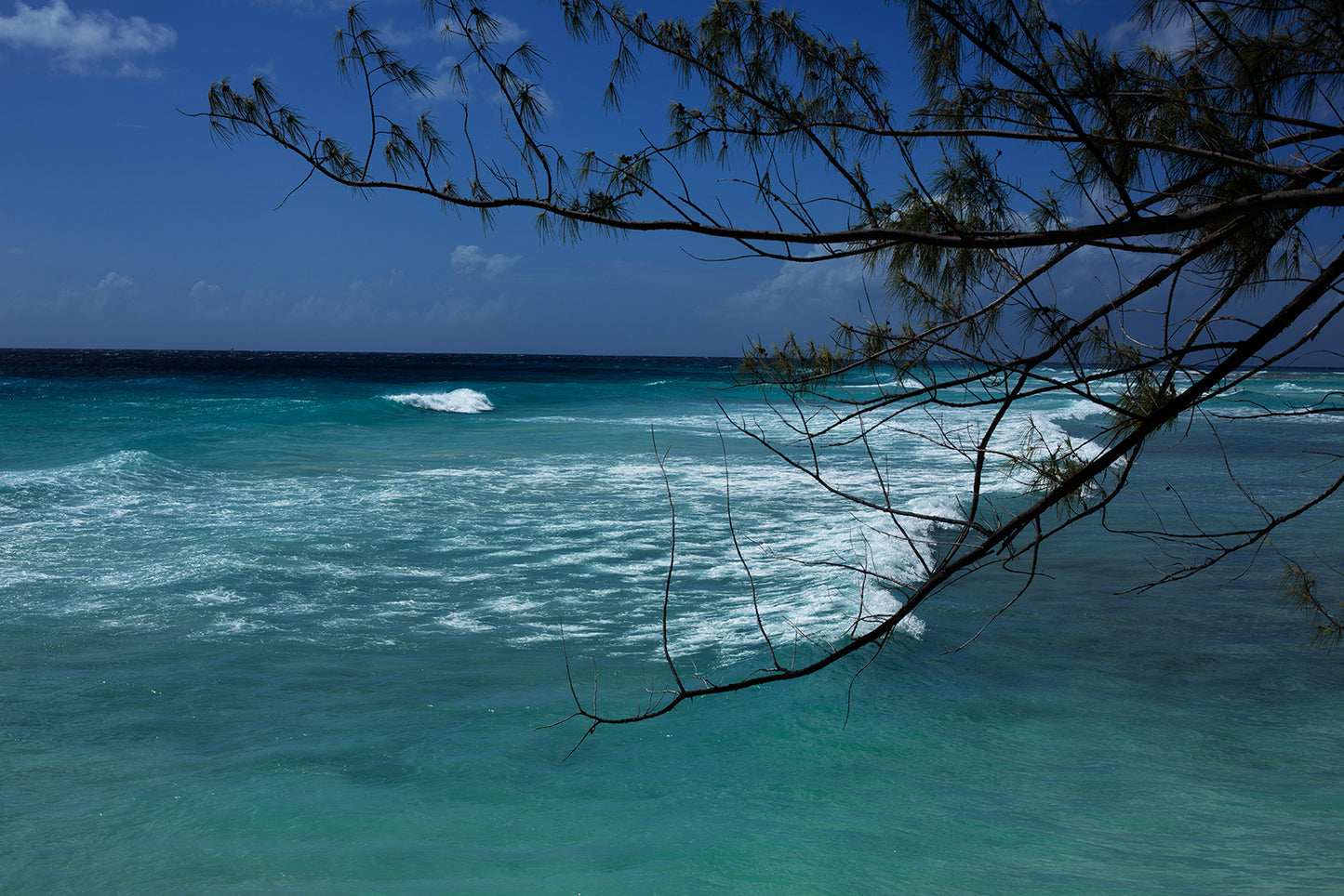 02_Barbados_Caribbean Light 60x40cm