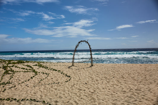 06_Barbados_Caribbean Light