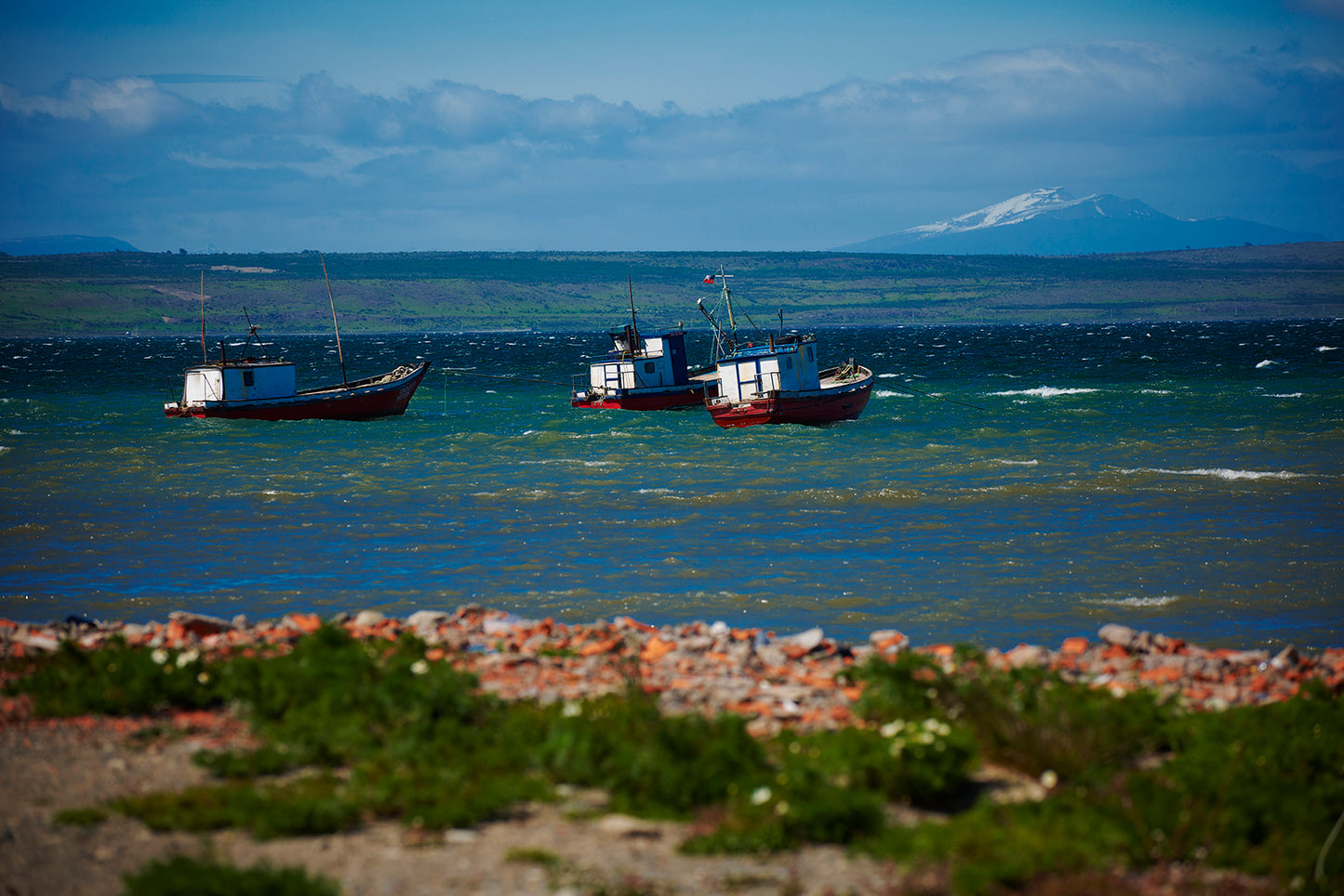 Puerto Natales — The Harbor Before the Mountains
