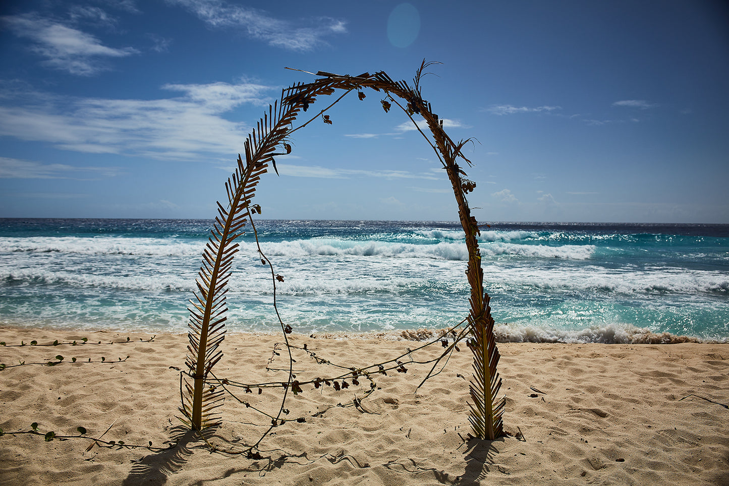 Certificate of Authenticity:
Artwork Title: 8_Barbados_Caribbean Light_60x40cm
Series: Barbados
Artist: Marcus Luconi
Year of Capture: 2013
Location: Barbados
Original Medium: Digital 35mm
Camera: Canon 5D
Print: Fine art archival pigment print
Edition: [número da edição]