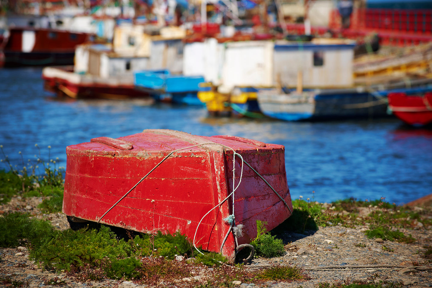 Puerto Natales — The Harbor Before the Mountains