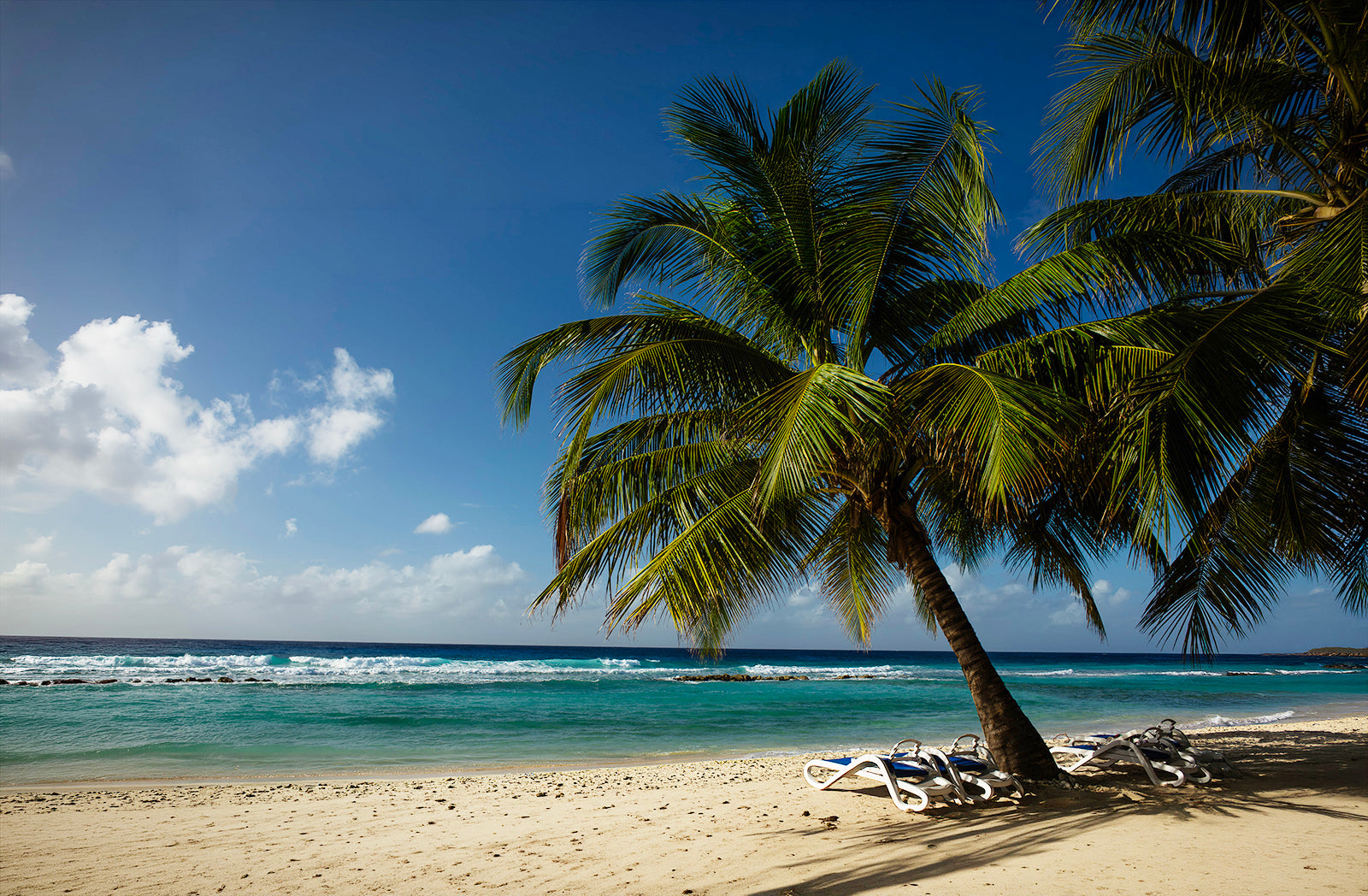 Certificate of Authenticity:
Artwork Title: 11_Barbados_CaribbeanLight 60x40cm
Series: Barbados
Artist: Marcus Luconi
Year of Capture: 2013
Location: Barbados
Original Medium: Digital 35mm
Camera: Canon Mark ll
Print: Fine art archival pigment print
Edition: [número da edição]