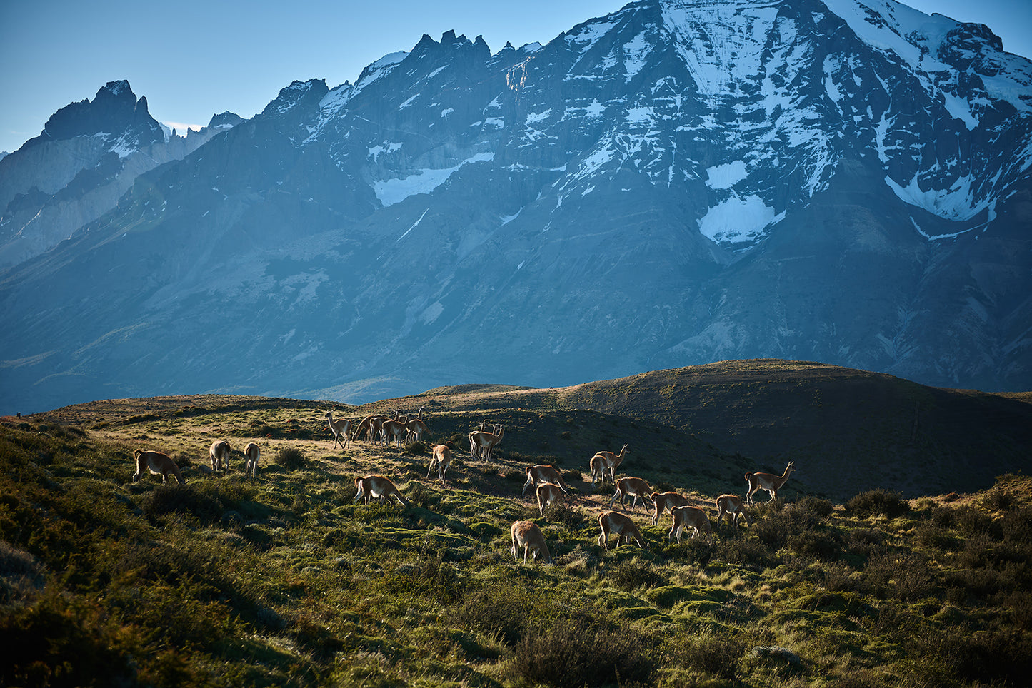 01_Glacial Grey_Torres De lPaine, Chile_60x40cm