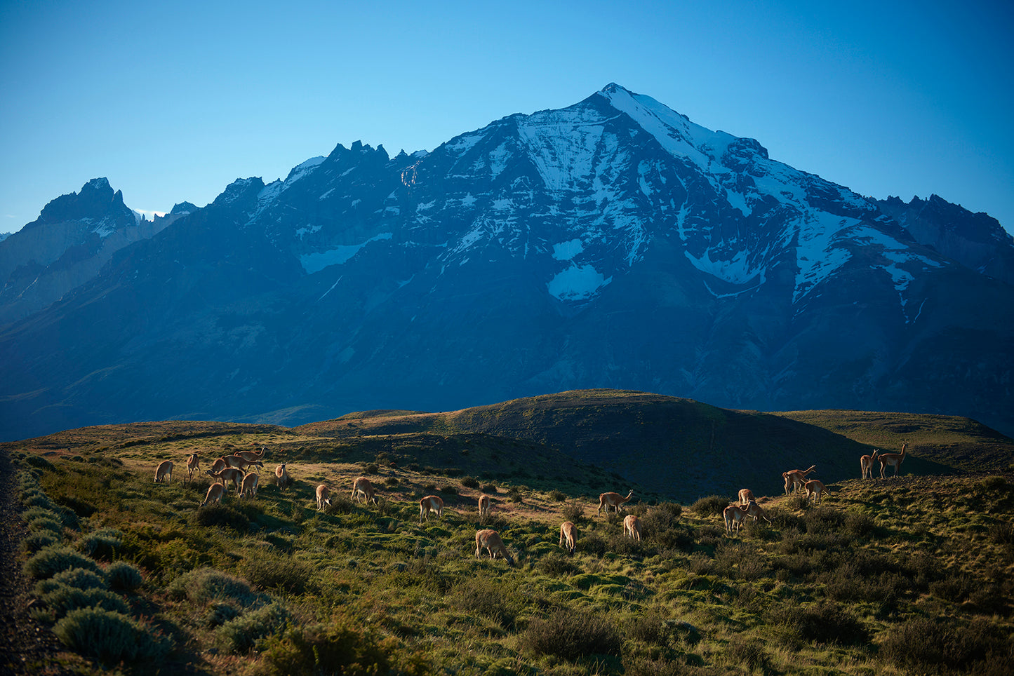 48_Torres Del Paine_Chile_60x40cm