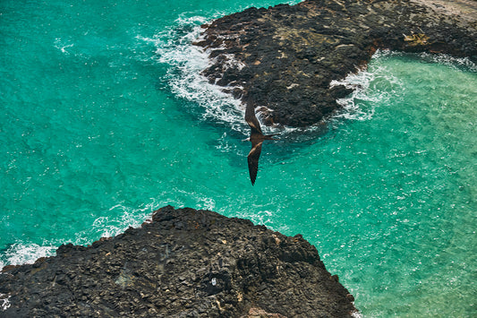 Fernando de Noronha — Ecologic Sanctuary No. 25 — 60 × 40 cm