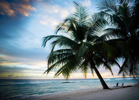 11_Barbados_Caribbean Light