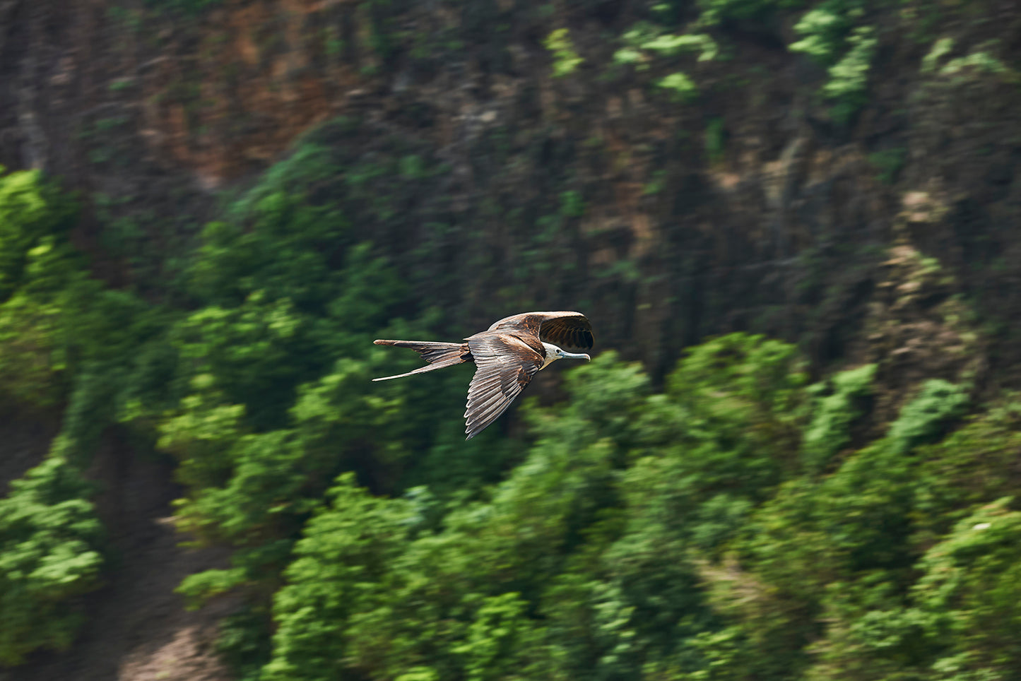 30_Fernando de Noronha 2012_Ecologic Sanctuary_60x40cm