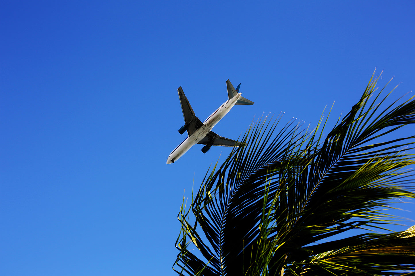 44_Barbados_Caribbean Light_60x40cm