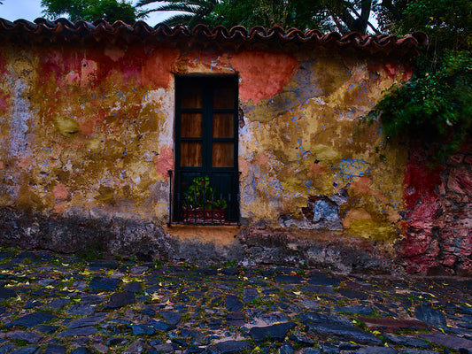 Like a Painting 100x75cm
