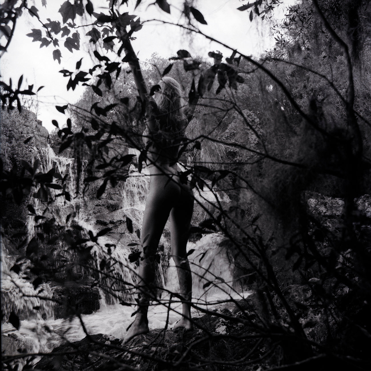 Artwork Title: Blessed_Nature_ 80 x 80 cm
Series: Body Way
Artist: Marcus Luconi
Year of Capture: 2004
Location: Cambará, RS, Brasil
Original Medium: Ilford HP5 400 ISO
Camera: Hasselblad 503 CW
Print: Fine art archival pigment print
Edition: [número da edição]
