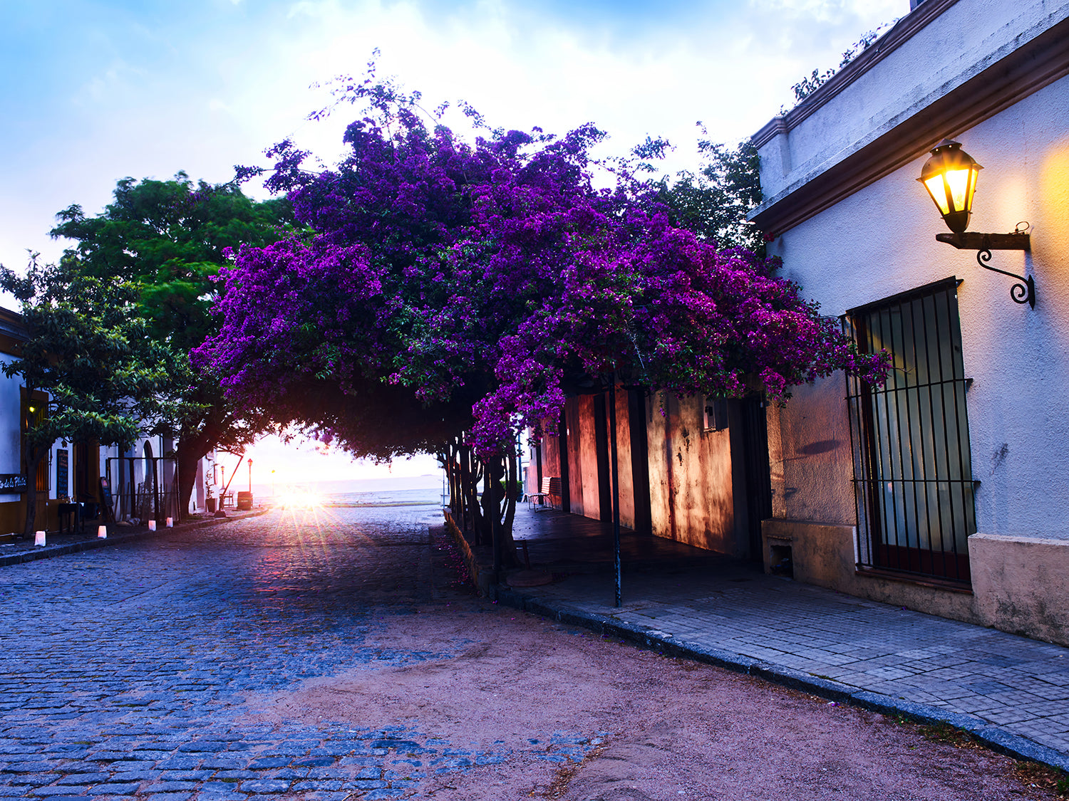 Certificate of Authenticity:
Artwork Title: Bougainvillea Topping Golden Hour 122x61cm
Series: Colonia Del Sacramento
Artist: Marcus Luconi
Year of Capture: 2010
Location: Colonia Del Sacramento, Uruguay
Original Medium: Digital Back Phase One
Camera: Arcbody
Print: Fine art archival pigment print
Edition: [número da edição]