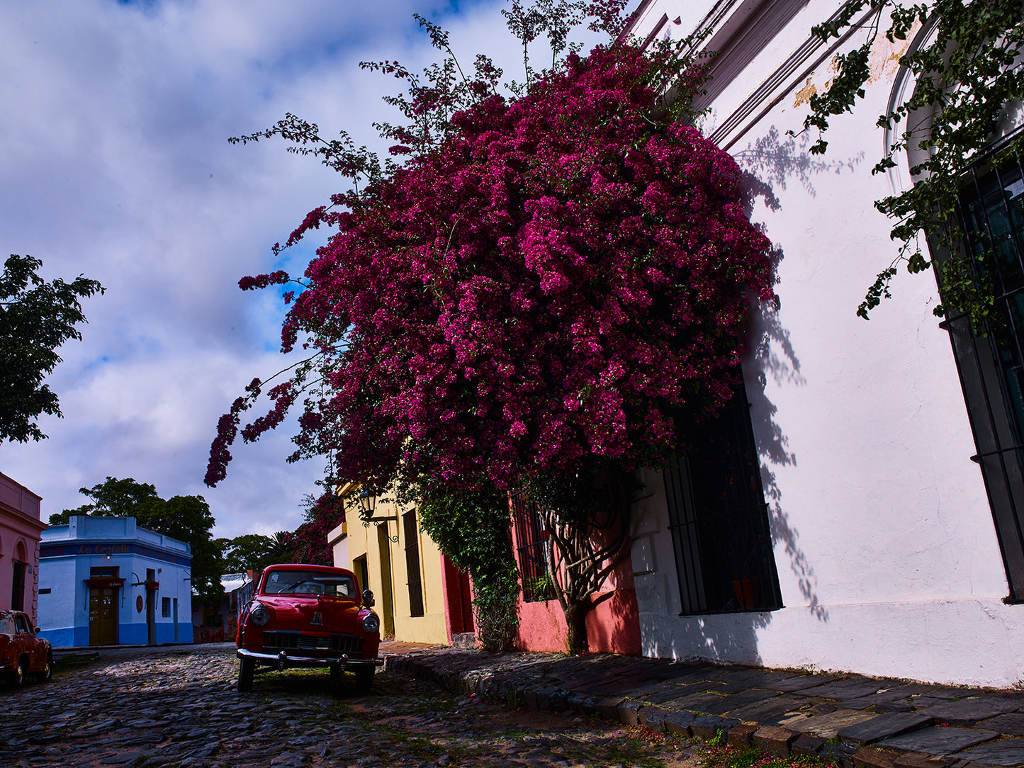 Certificate of Authenticity:
Artwork Title: Bougainvilles and car 100 x 75 cm
Series: Colonia Del Sacramento
Artist: Marcus Luconi
Year of Capture: 2010
Location: Colonia Del Sacramento, Uruguay
Original Medium: digital PhaseOne back
Camera: Hasselblad Arcbody

Print: Fine art archival pigment print
Edition: [número da edição]