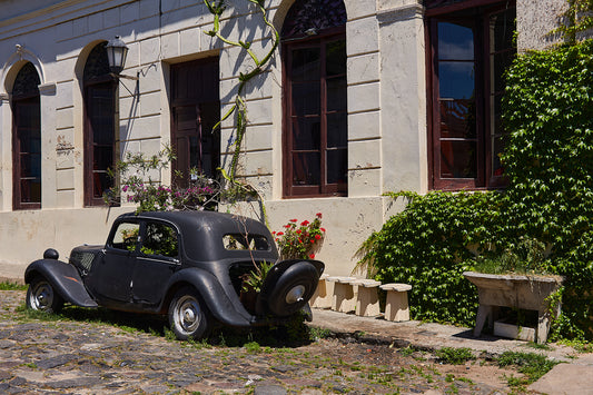 Car, House and Green 100 x 75 cm