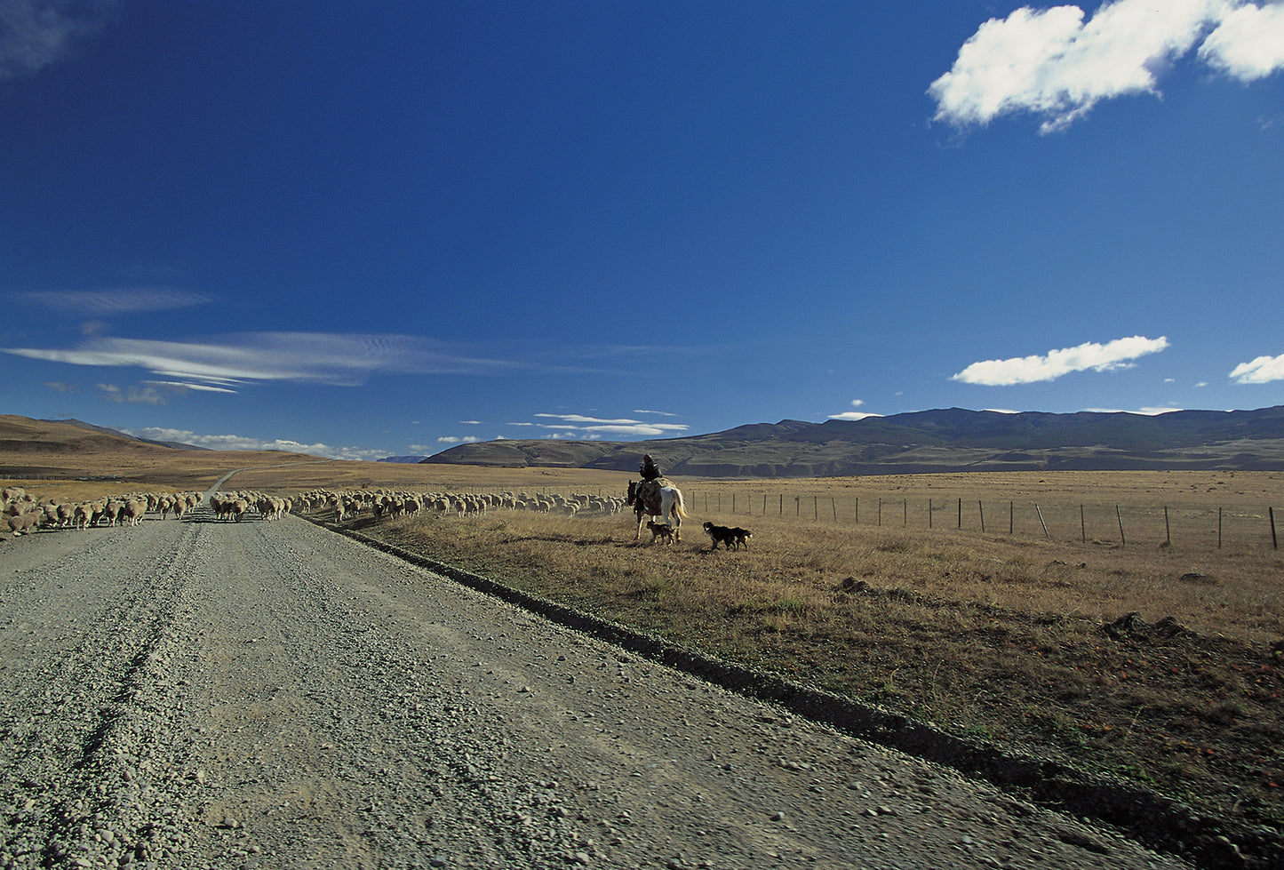 Certificate of Authenticity:
Artwork Title: Gauchos on the Road to ElCalafate_Patagonia_Argentina_2000_80x67cm
Series: Patagonia
Artist: Marcus Luconi
Year of Capture: 2000
Location: Calafate, Patgonia, Argentina
Original Medium: film 6x6cm
Camera: Hasselblad 503 CW
Print: Fine art archival pigment print
Edition: [número da edição]