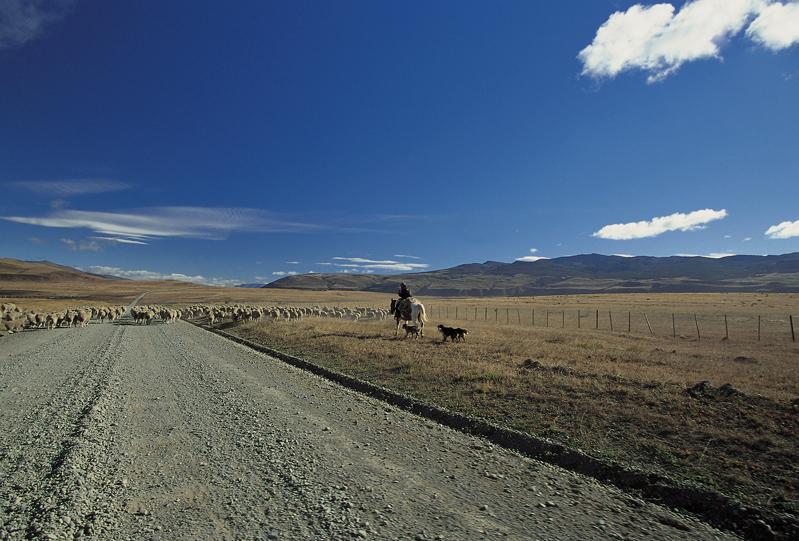 Certificate of Authenticity:
Artwork Title: Gauchos on the Road to ElCalafate_Patagonia_Argentina_2000_80x67cm
Series: Patagonia
Artist: Marcus Luconi
Year of Capture: 2000
Location: Calafate, Patgonia, Argentina
Original Medium: film 6x6cm
Camera: Hasselblad 503 CW
Print: Fine art archival pigment print
Edition: [número da edição]
