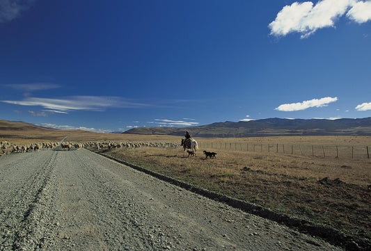 Certificate of Authenticity:
Artwork Title: Gauchos on the Road to ElCalafate_Patagonia_Argentina_2000_80x67cm
Series: Patagonia
Artist: Marcus Luconi
Year of Capture: 2000
Location: Calafate, Patgonia, Argentina
Original Medium: film 6x6cm
Camera: Hasselblad 503 CW
Print: Fine art archival pigment print
Edition: [número da edição]
