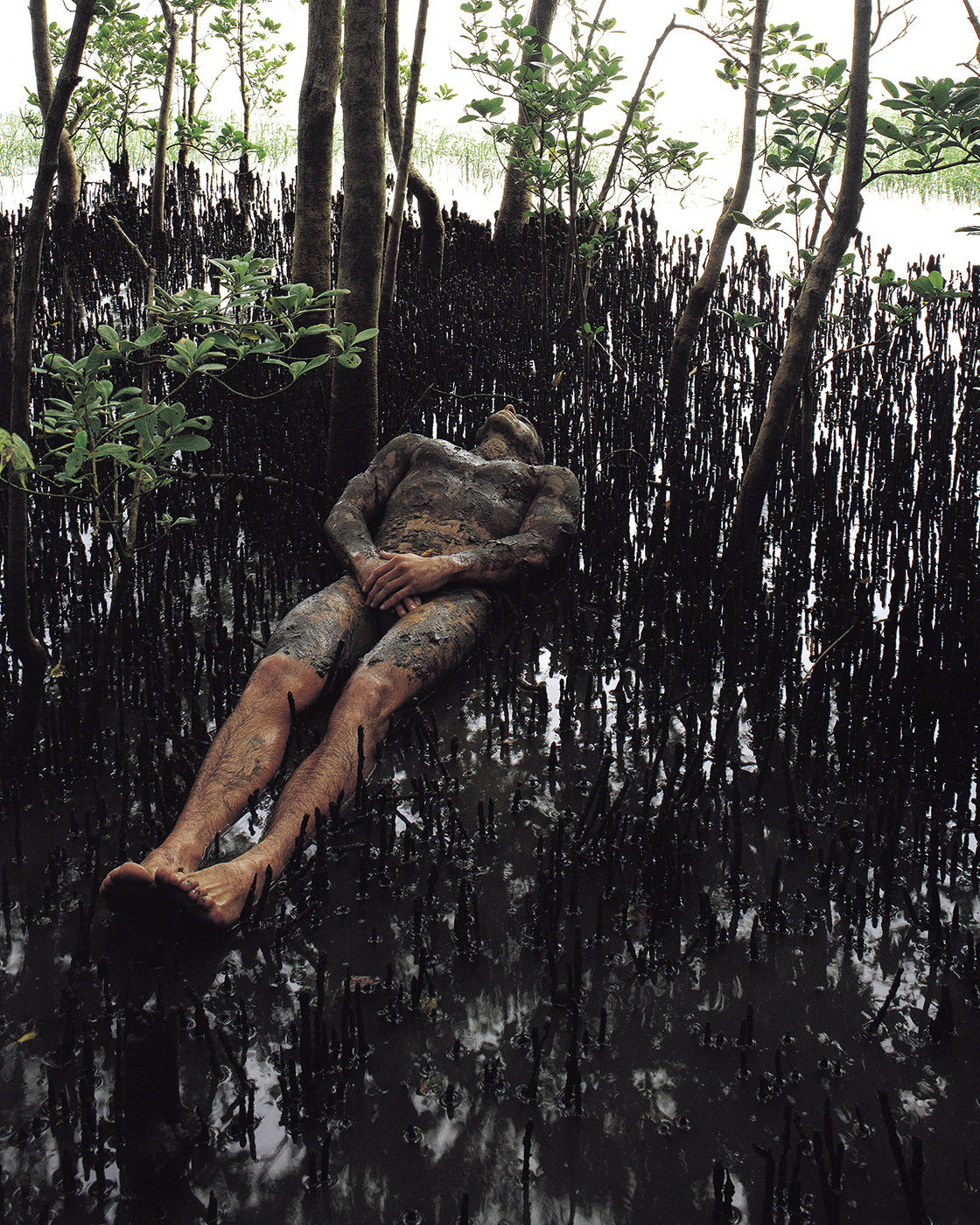 Swamp Man

Photographed in 1988 in a mangrove area on Florianópolis Island, Santa Catarina, Brazil, Swamp Man is part of the Elemental series, exploring the deep integration between the human body and the natural environment.

The model demonstrates an extraordinary control of body and mind, merging with the surrounding ecosystem as if becoming part of its organic structure. Between sea and coast, the mangrove forms a living territory of small rivers, lagoons, roots, mud, and forest — a vital environment fo