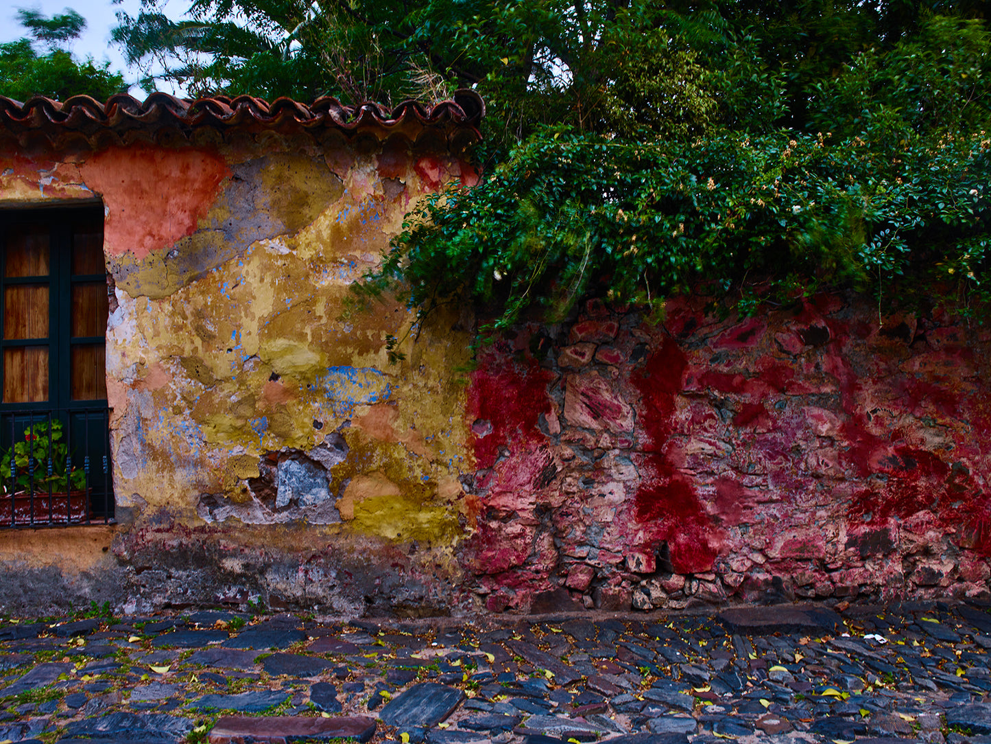 Certificate of Authenticity:
Artwork Title: Like_a_Painting_100x75cmL
Series: Colonia Del Sacramento
Artist: Marcus Luconi
Year of Capture: 2010
Location: Colonia Del Sacramento
Original Medium: Digital Phase One
Camera: Hasselblad Arcbody
Print: Fine art archival pigment print
Edition: [número da edição]ia Del Sacramento
