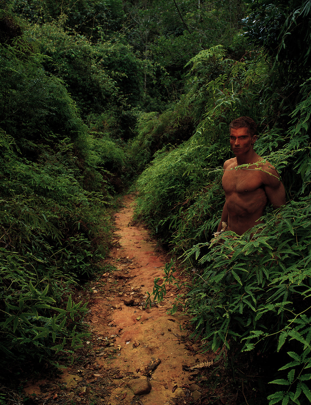 Part of the Elemental series, this photograph evokes the presence of a guardian spirit of the forest, a being who seems to protect those who enter with respect for nature. The human body merges with the landscape through mimicry, camouflage, and symbiosis, expressing the central idea of the series: humanity as part of the living force of the natural world.

Photographed in 1997 with a medium-format camera on color transparency film, the image was digitized with a high-resolution Hell cylindrical scanner, cr