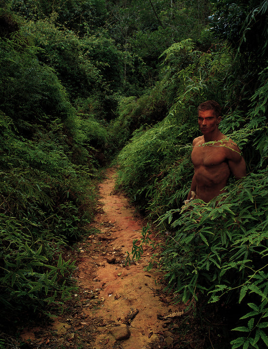 Part of the Elemental series, this photograph evokes the presence of a guardian spirit of the forest, a being who seems to protect those who enter with respect for nature. The human body merges with the landscape through mimicry, camouflage, and symbiosis, expressing the central idea of the series: humanity as part of the living force of the natural world.

Photographed in 1997 with a medium-format camera on color transparency film, the image was digitized with a high-resolution Hell cylindrical scanner, cr