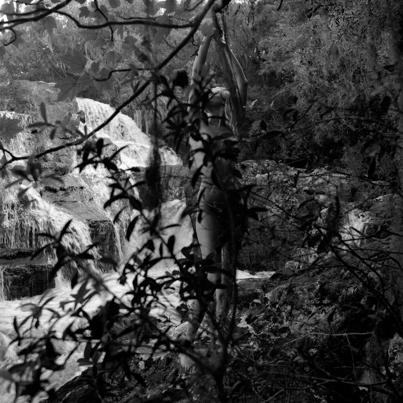 Analog black and white photograph, captured in 2004 and recently digitized. This original work reflects an intimate connection between the body and nature, where the female figure moves in the shadows as if searching for the light. The timeless texture of IlfordHP5 Plus film enhances the contrast, creating a mysterious atmosphere in which the body merges with the forest and a delicate waterfall in the background. Enigmatic, yet harmonious, the image evokes strength and serenity, balancing the human presence