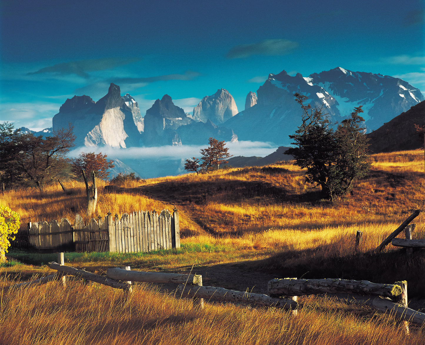 Certificate of Authenticity:
Artwork Title: RioSerrano_TorresDelPainePatagonia_Chile_80x64m
Series: Patagonia
Artist: Marcus Luconi
Year of Capture: 2000
Location: Torres del Paine, Chile
Original Medium: Film 6x6cm
Camera: Hasselblad 503 CW
Print: Fine art archival pigment print
Edition: [número da edição]