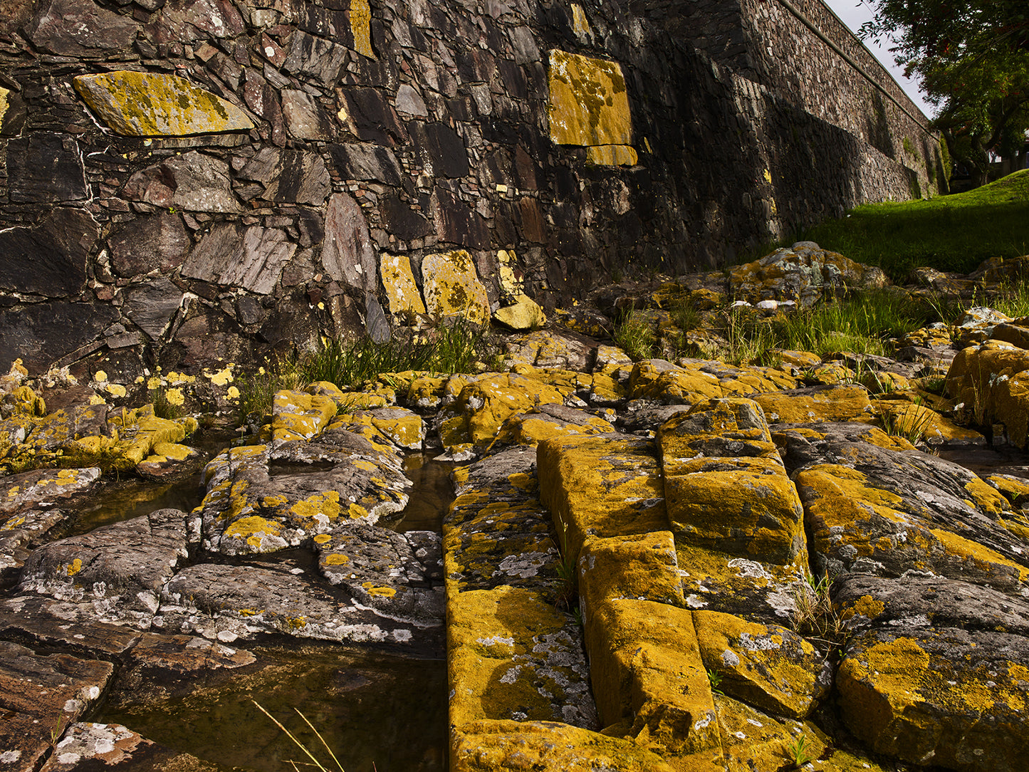 Corner of the Fort 100x75 cm